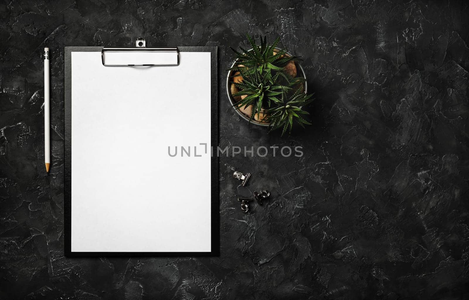 Blank clipboard, pencil, succulent plant and clips on black plaster background. Top view with copy space. Flat lay.