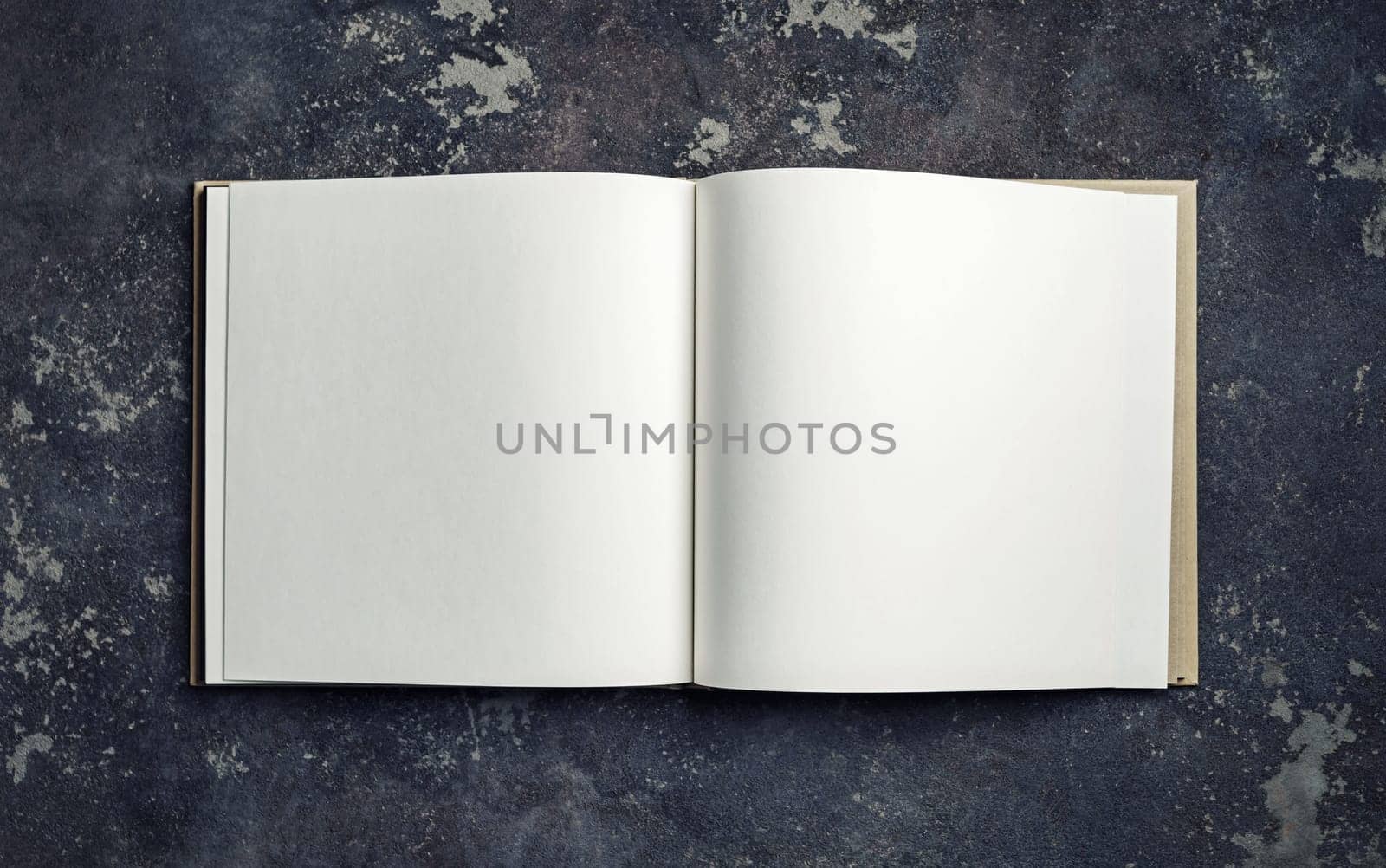 Blank open brochure or book on concrete background. Top view. Flat lay.