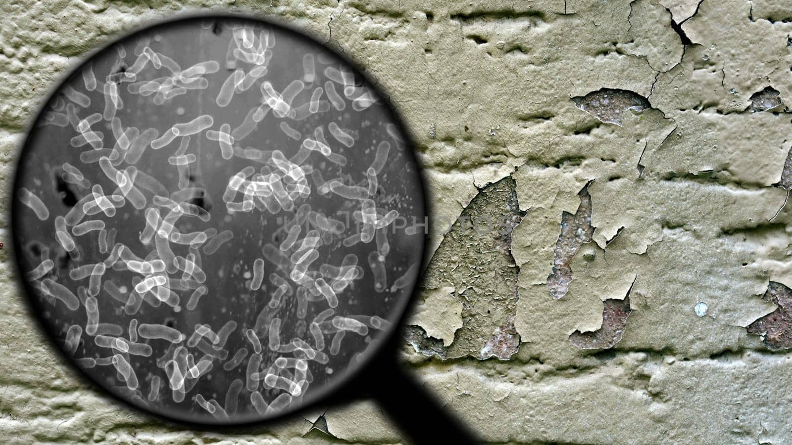 Searching for bacteria on surface