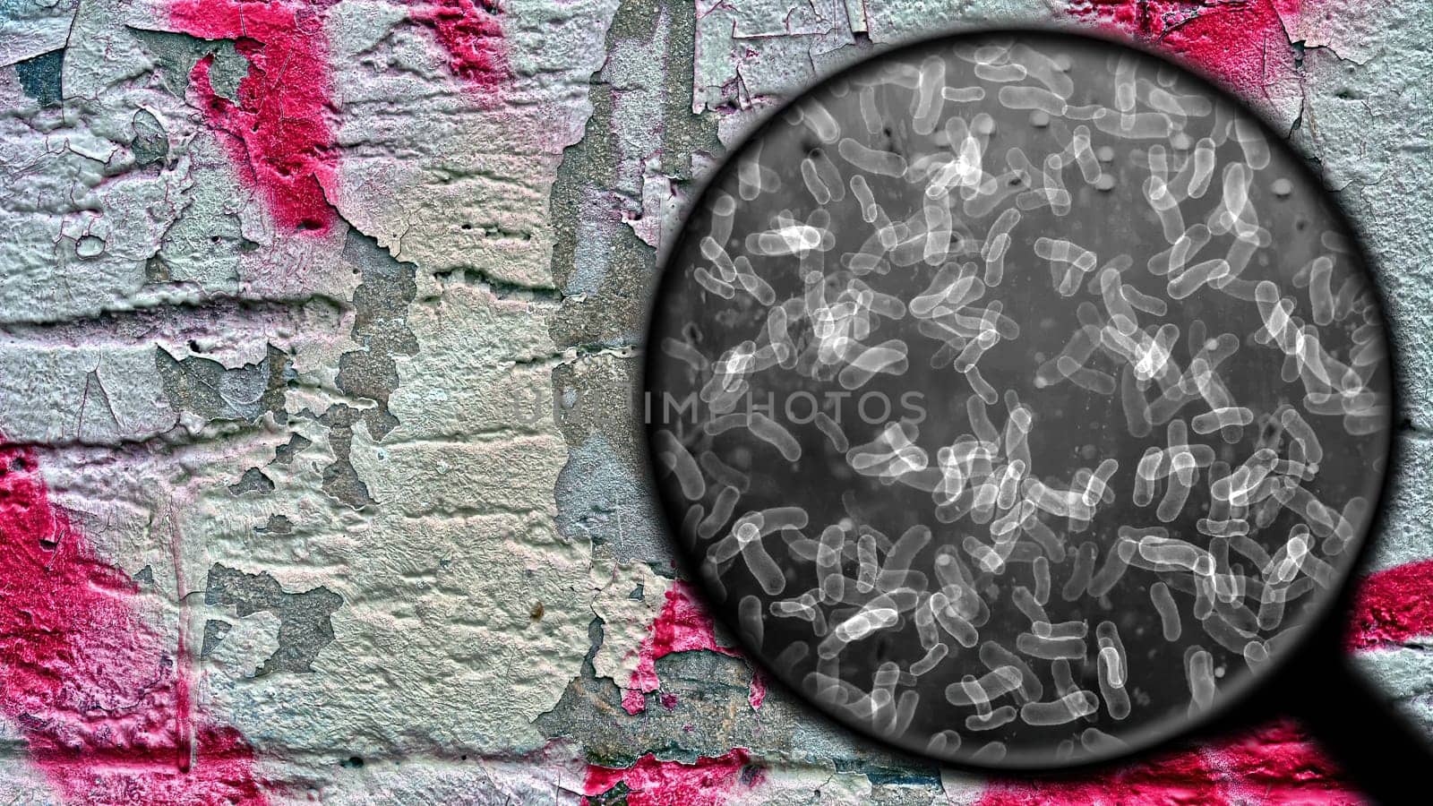 Searching for bacteria on surface