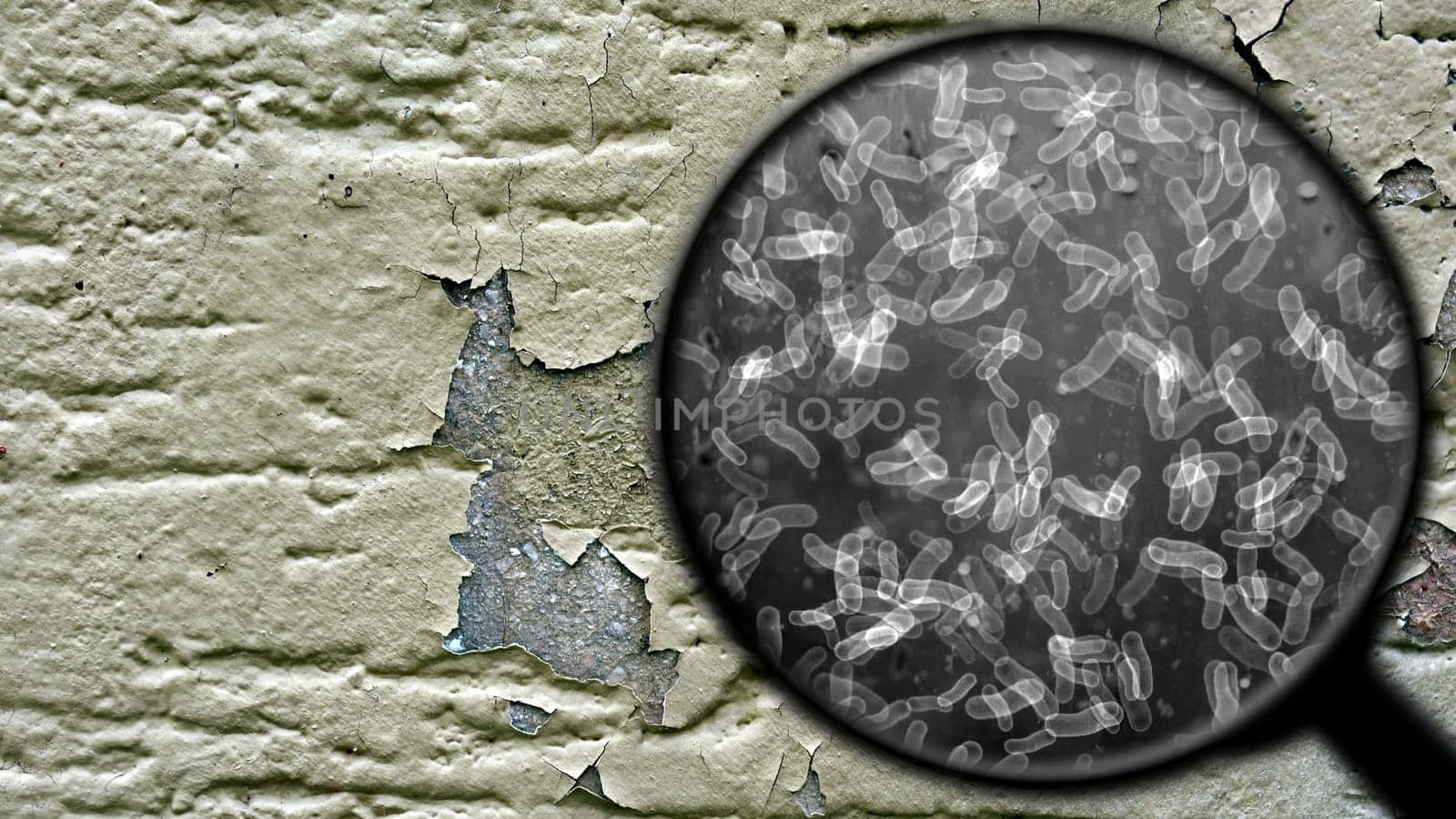 Searching for bacteria on surface