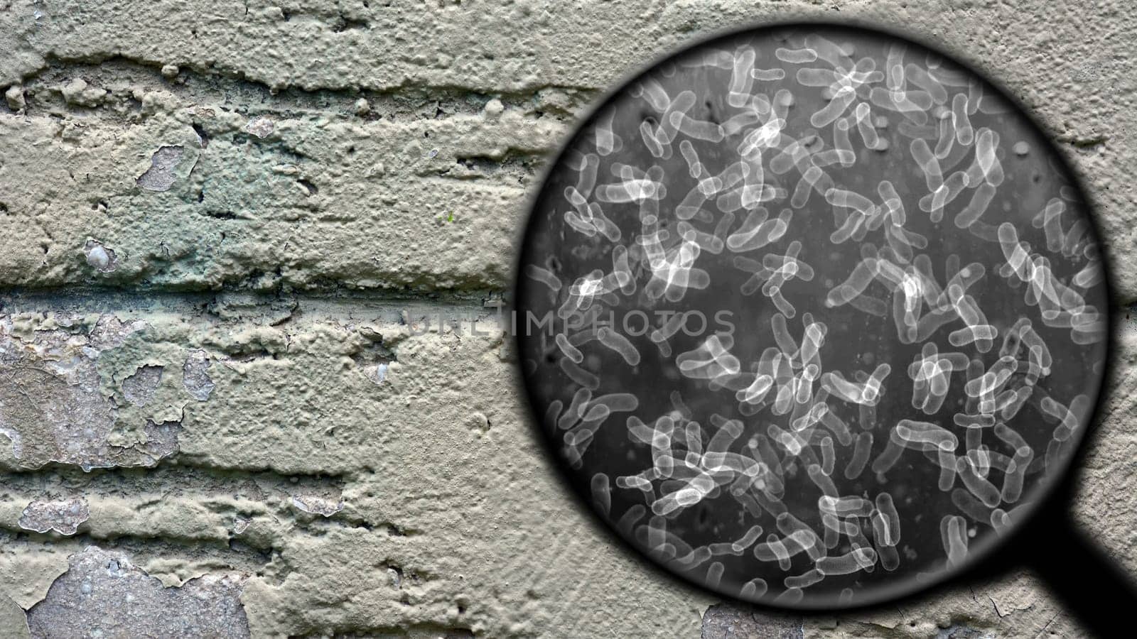 Searching for bacteria on surface