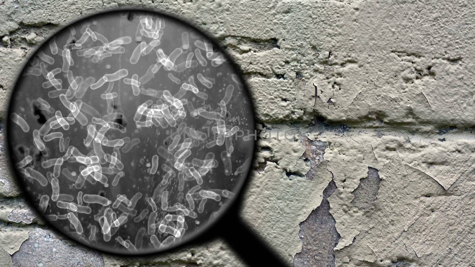Searching for bacteria on surface