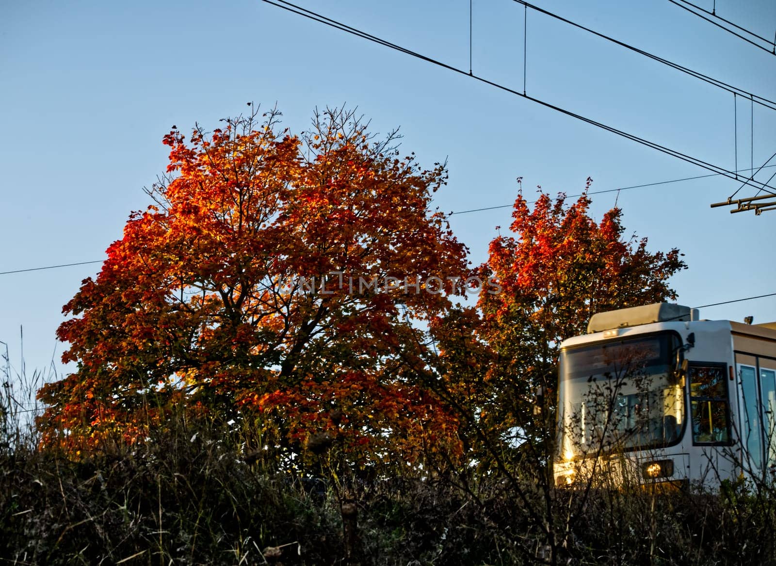 part of a moving tram in autumn lights