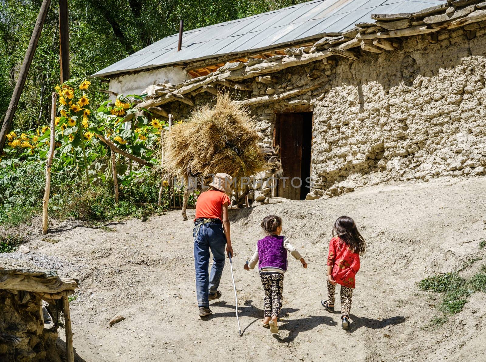 August 26, 2016, Margib village, Tajikistan: Children following a donkey to the barn at a small villave in Yaghnob Valley in  Tajikistan
