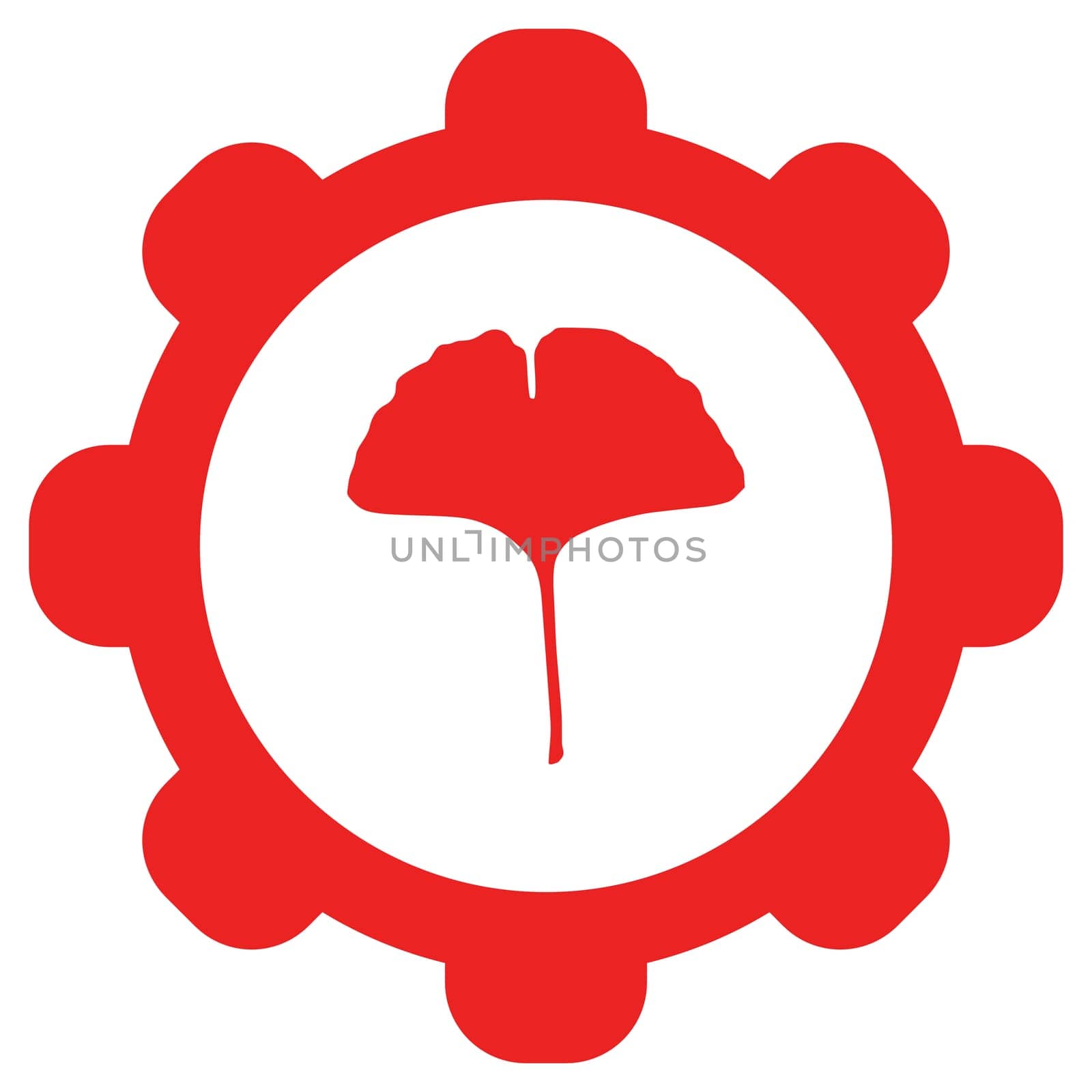 Ginkgo leaf and wheel