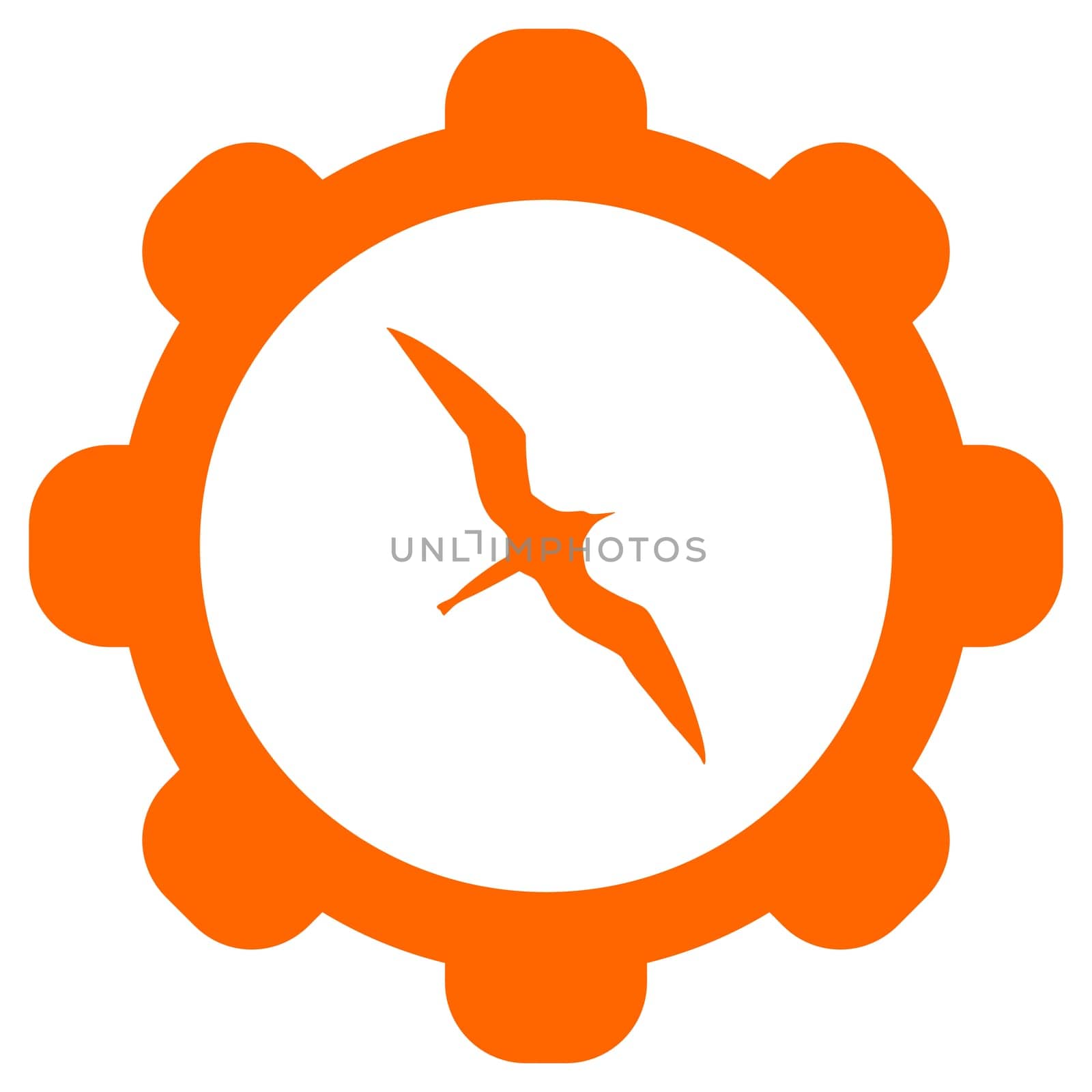 Frigate bird and wheel