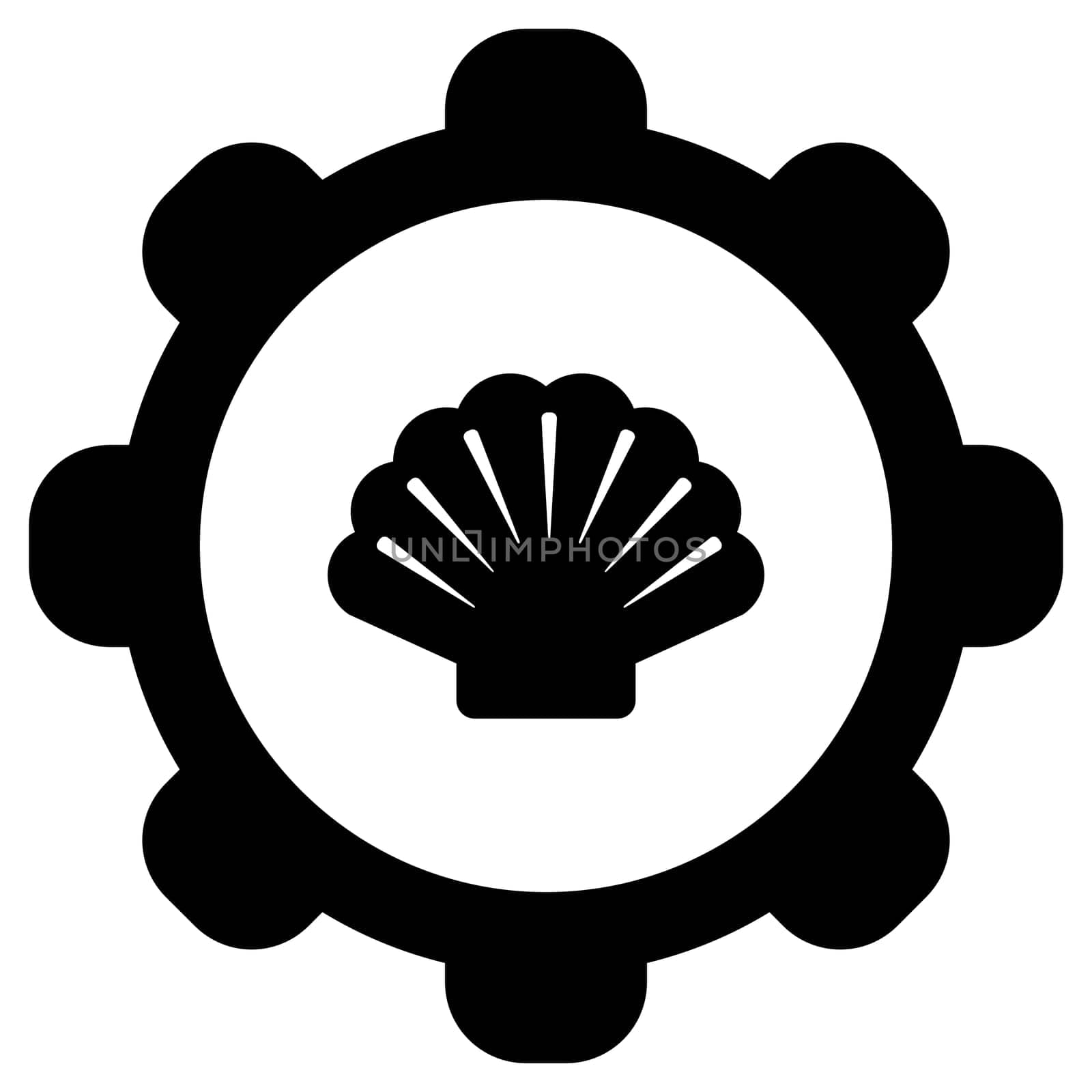 Shell and wheel