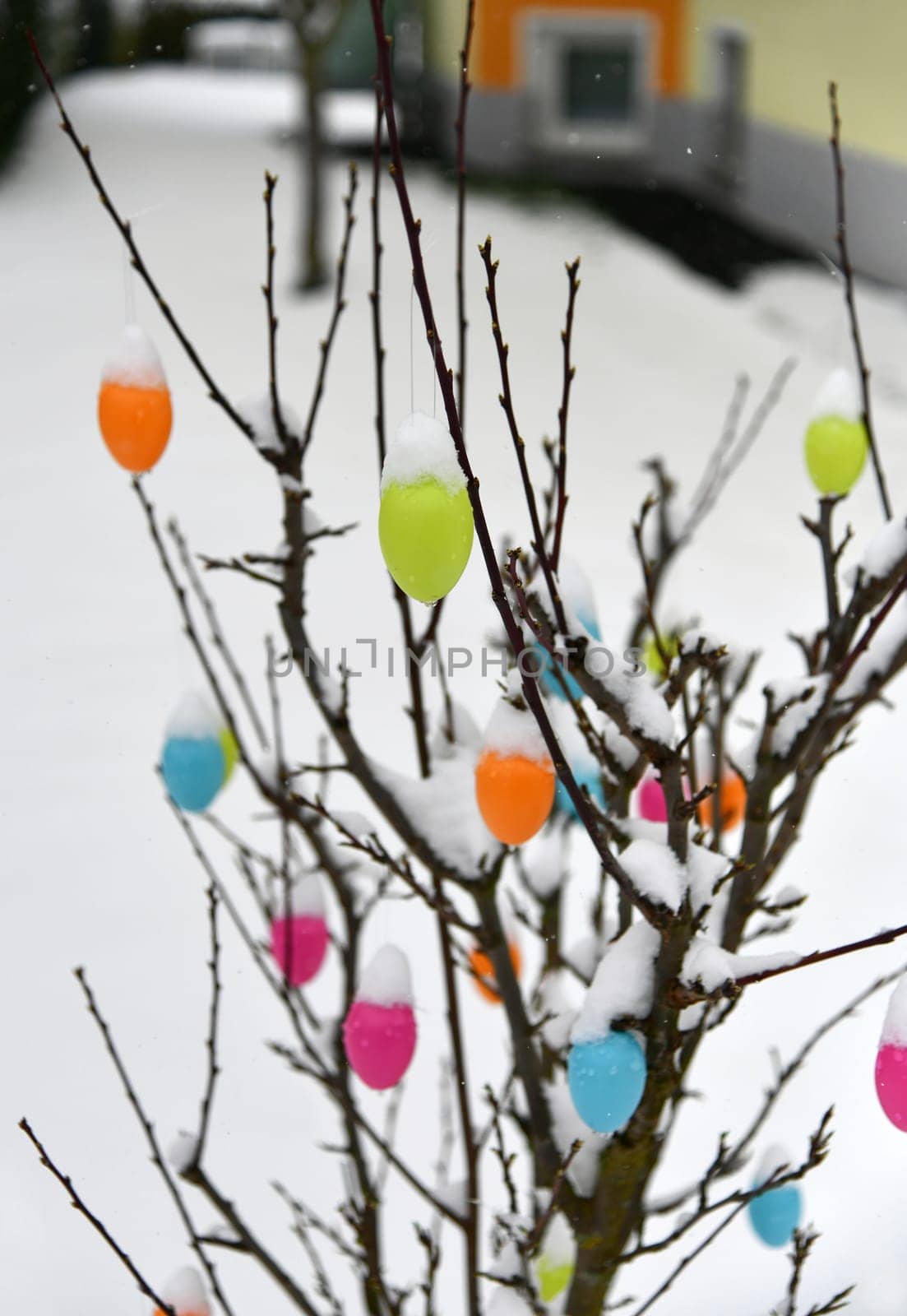 Colorful easter eggs with fresh snow