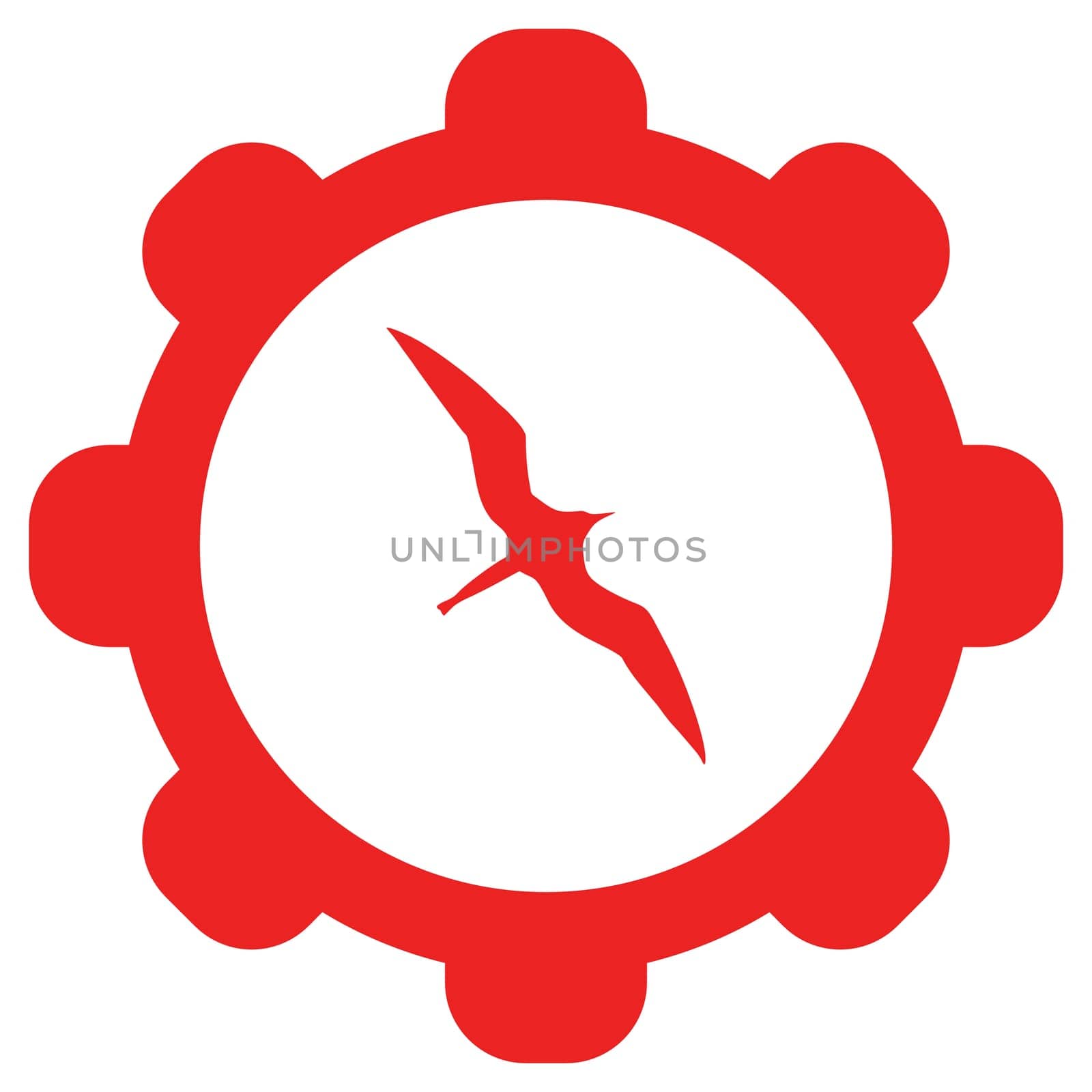Frigate bird and wheel