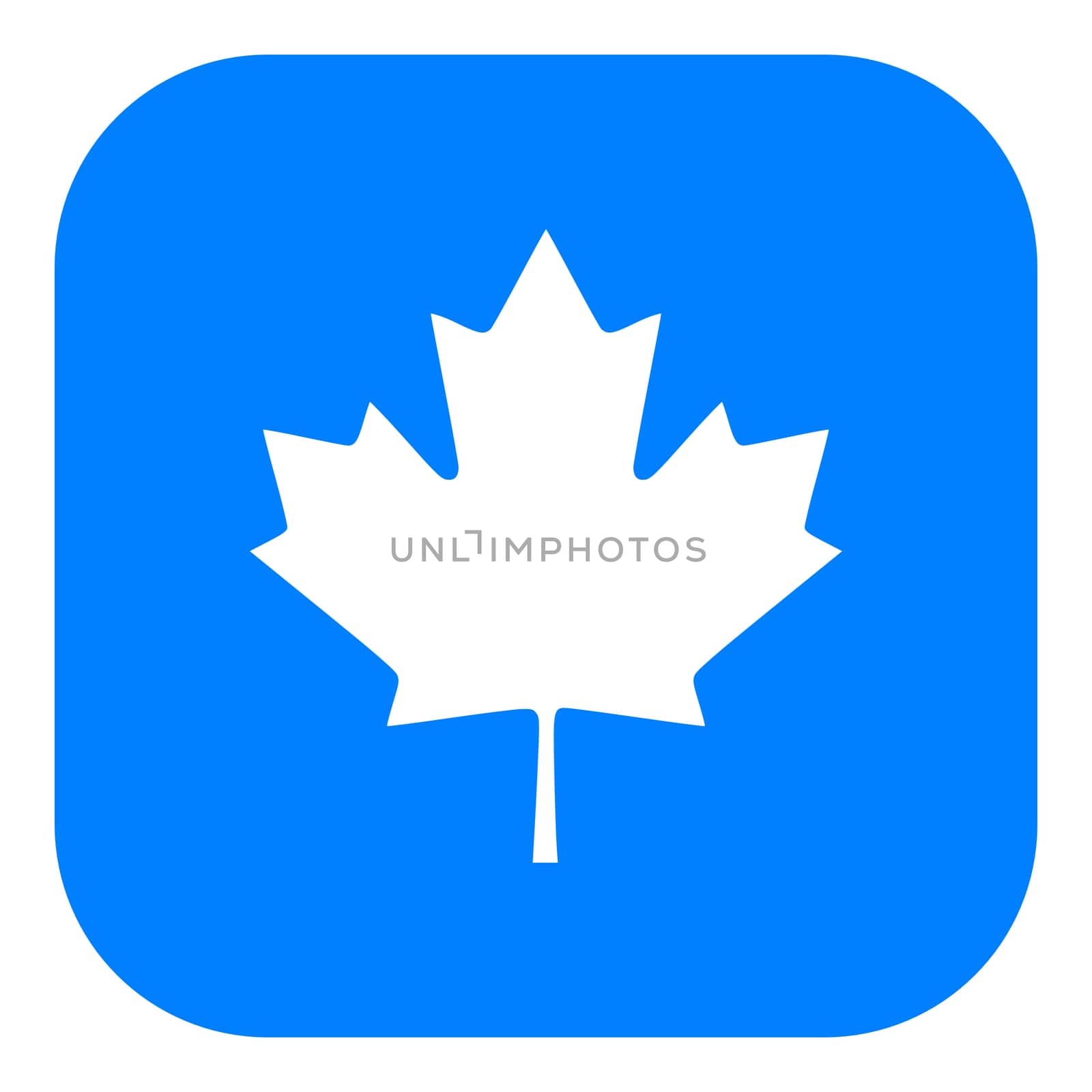 Maple leaf and app icon