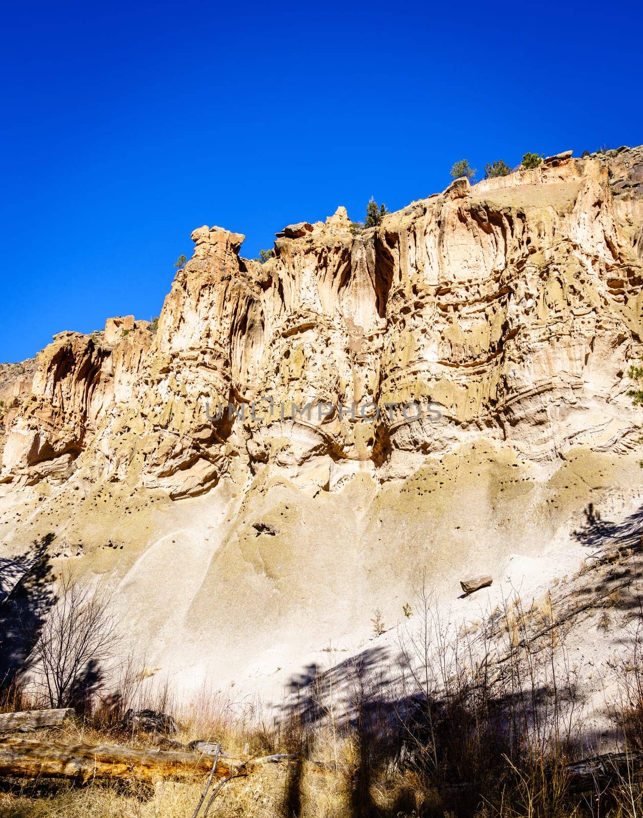 A view of the main cliff of Bandelier National Monument showing cave dwellings