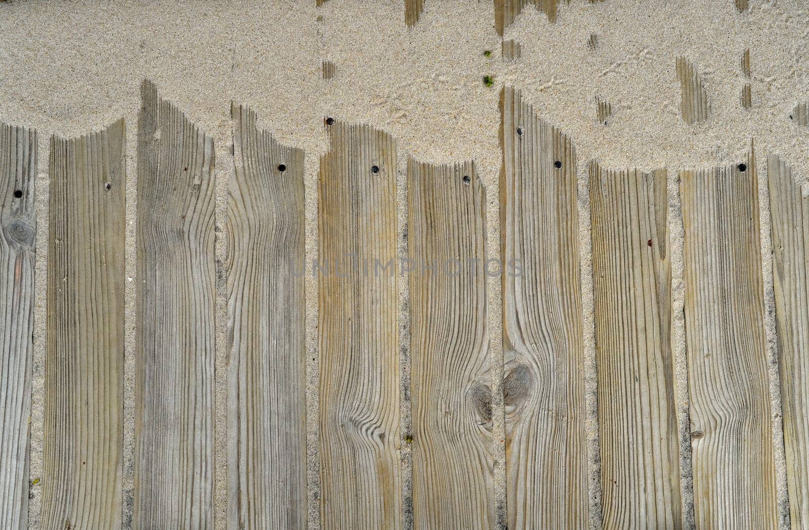 Wood Background Sand