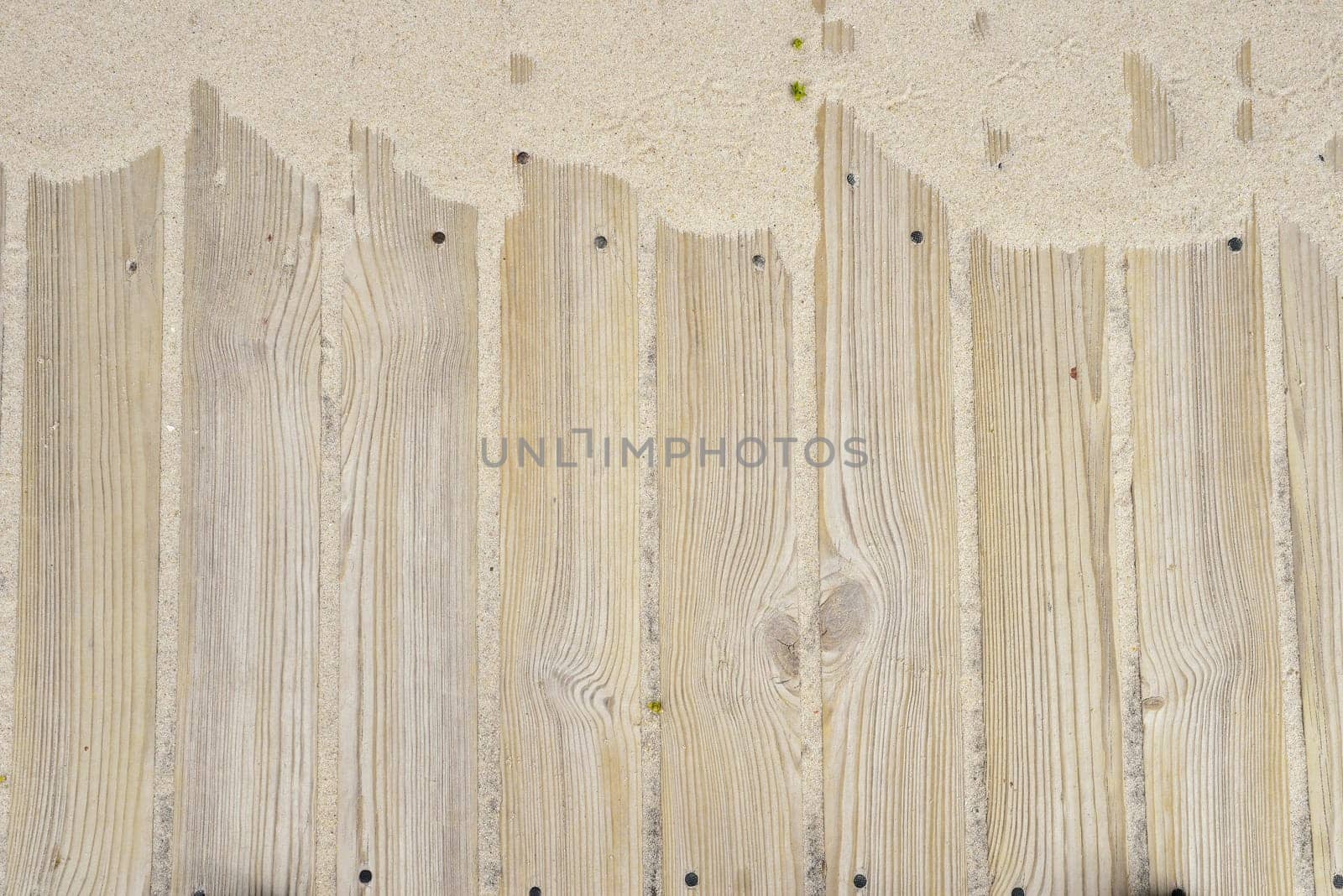 Wood Background Sand