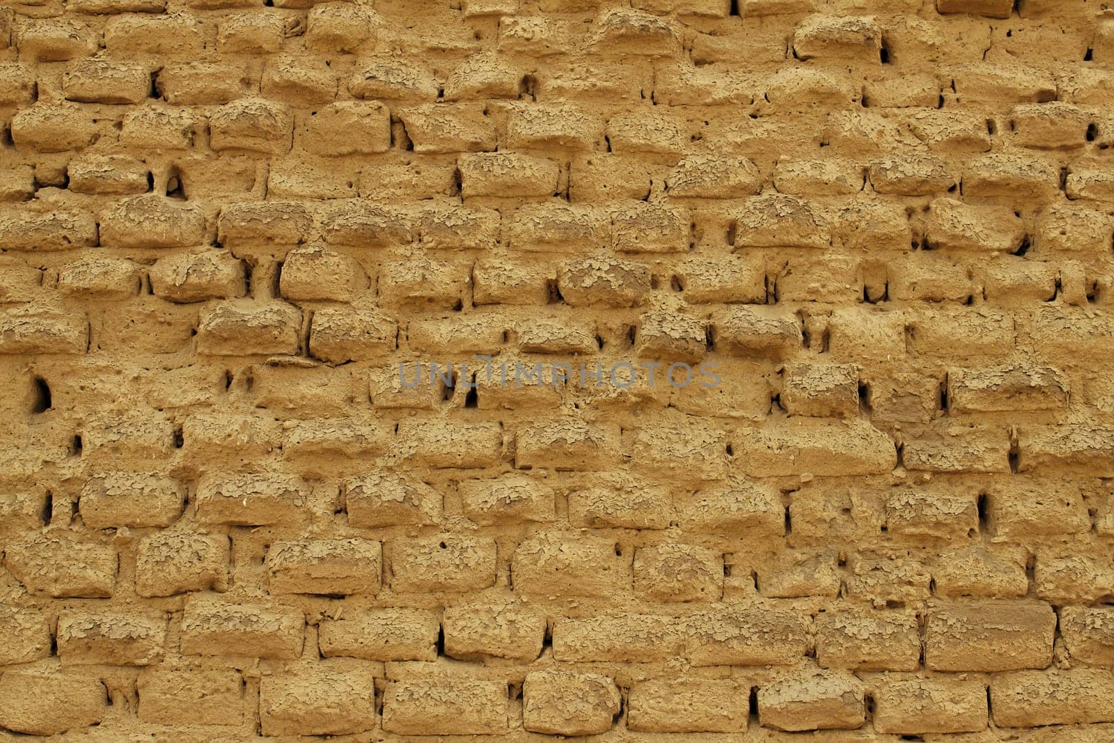 An old adobe mud brick wall showing signs of weathering