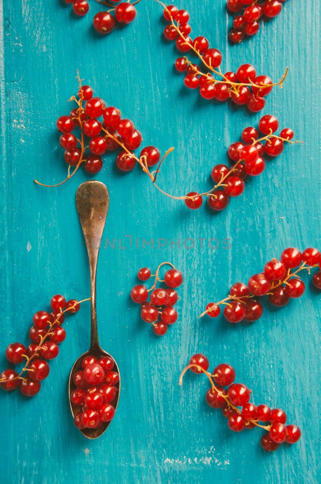 Red currant pattern over blue rustic background