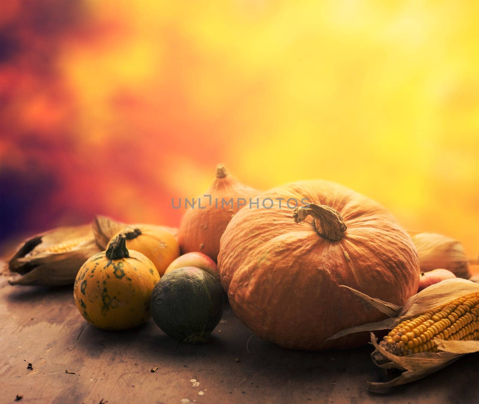 Autumn concept. Seasonal vegetables on wooden table.