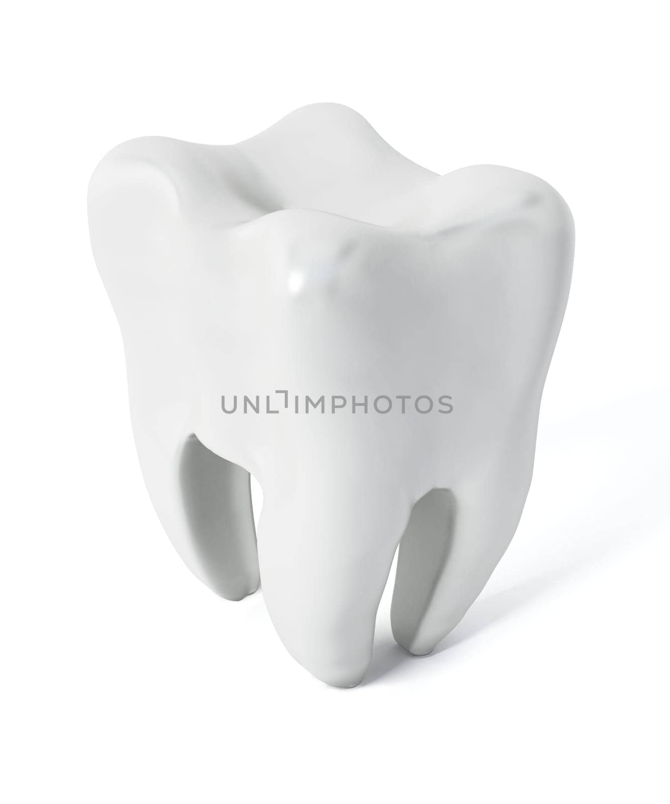 Tooth isolated on white background