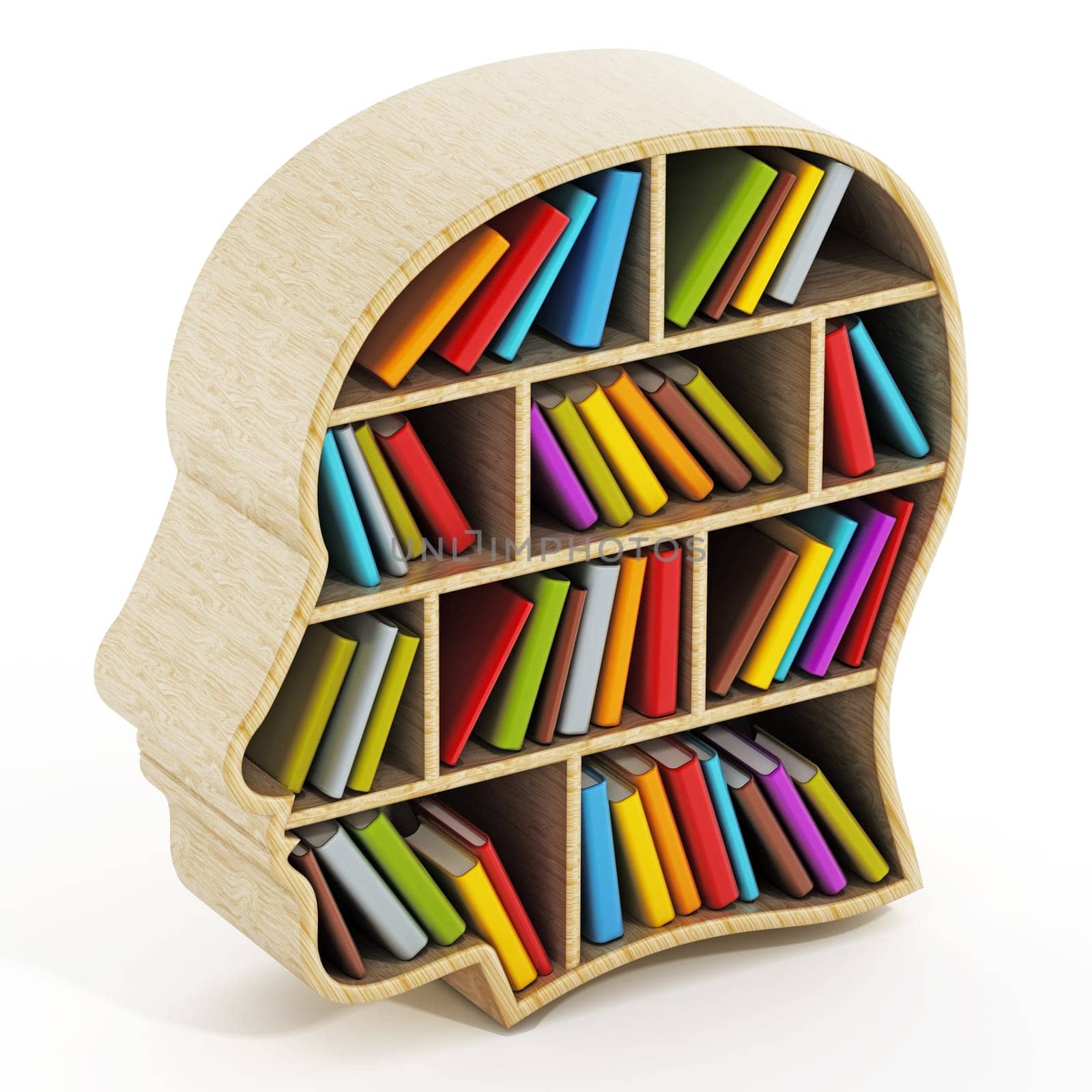 Books inside head shaped bookshelf isolated on white background