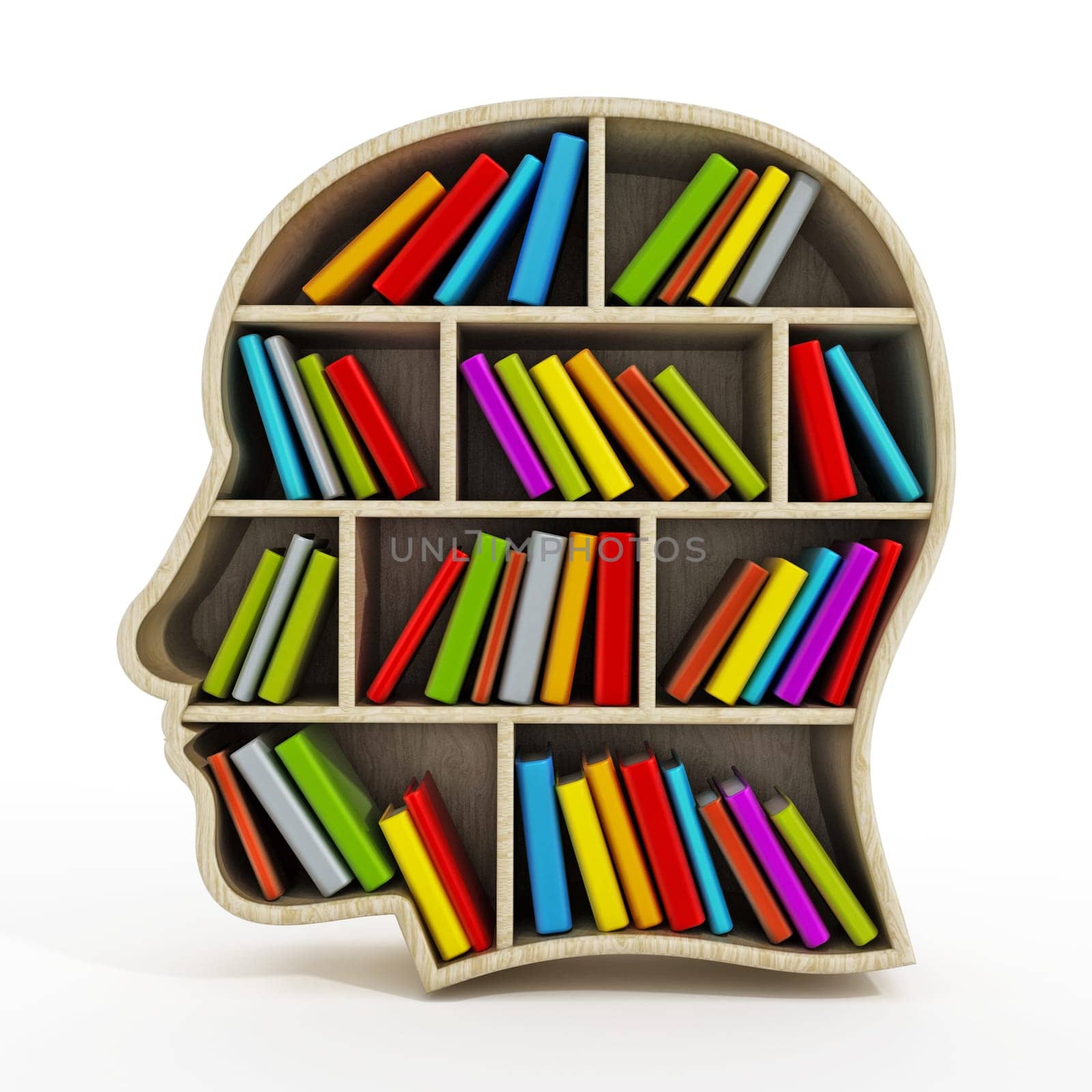 Books inside head shaped bookshelf isolated on white background