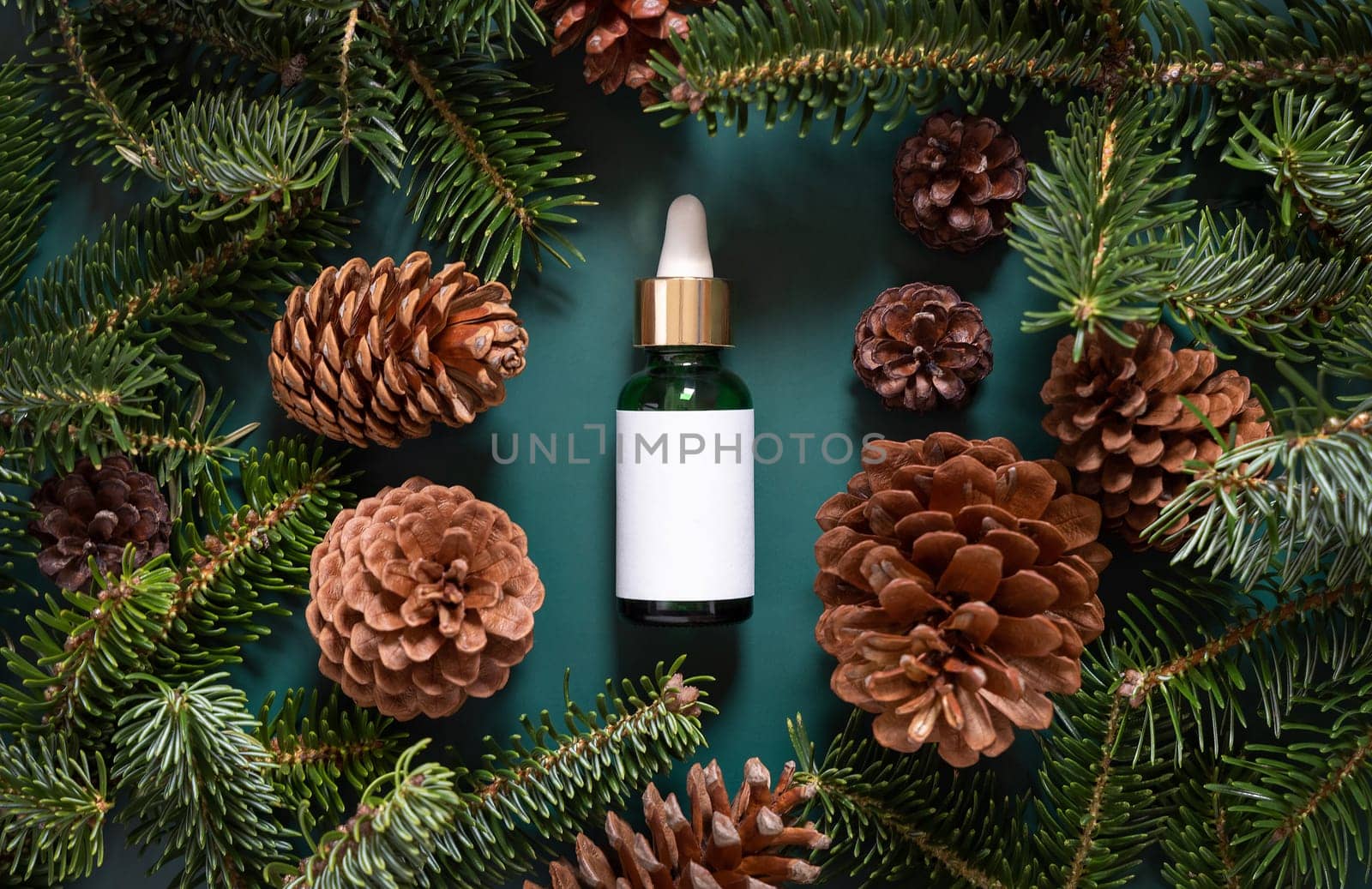 Green Pipette Dropper Bottles with blank label near fir branches and pine cones top view. Brand packaging mockup. Skincare beauty product, cream or serum. Natural cosmetics concept