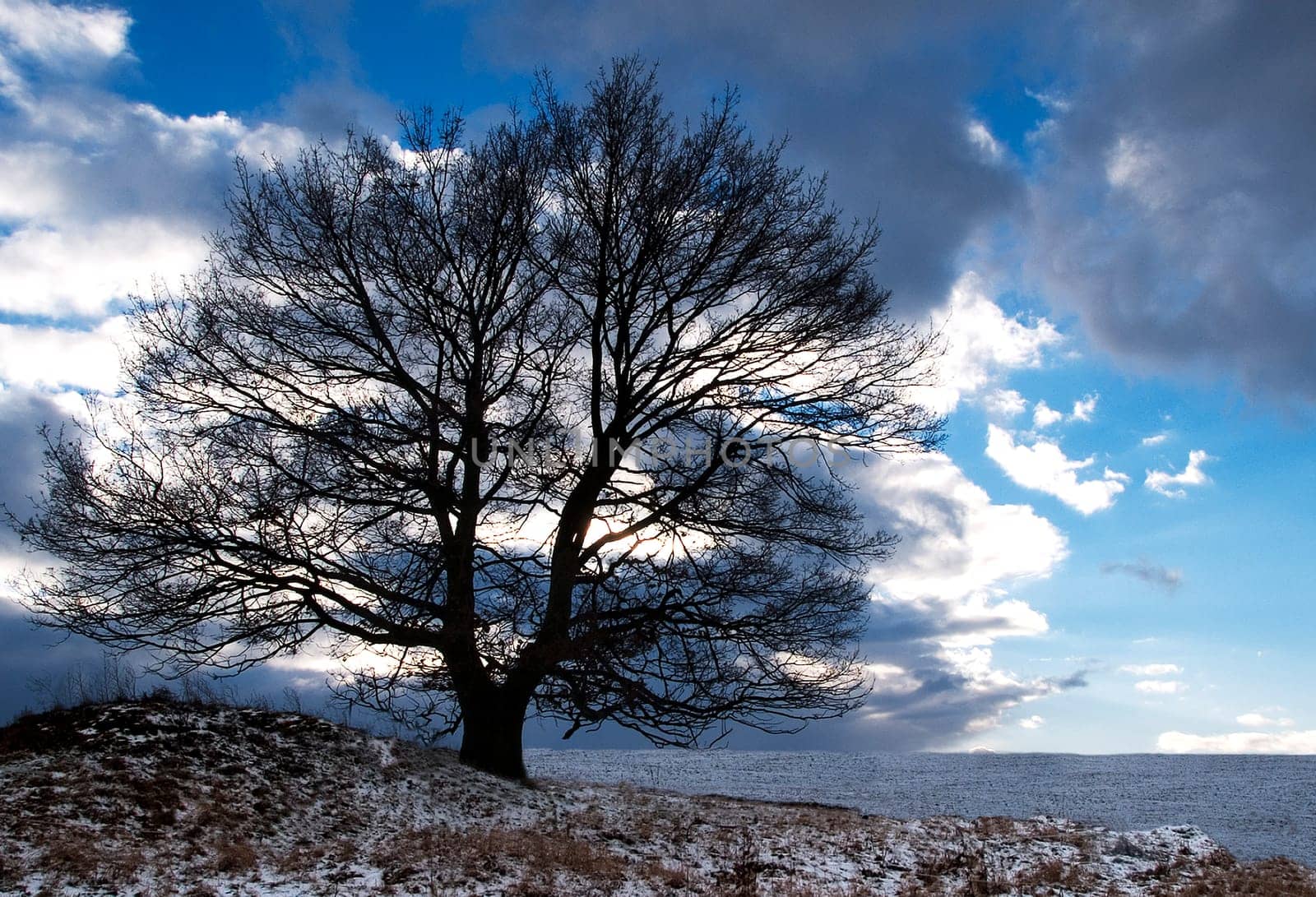 Winter evening time