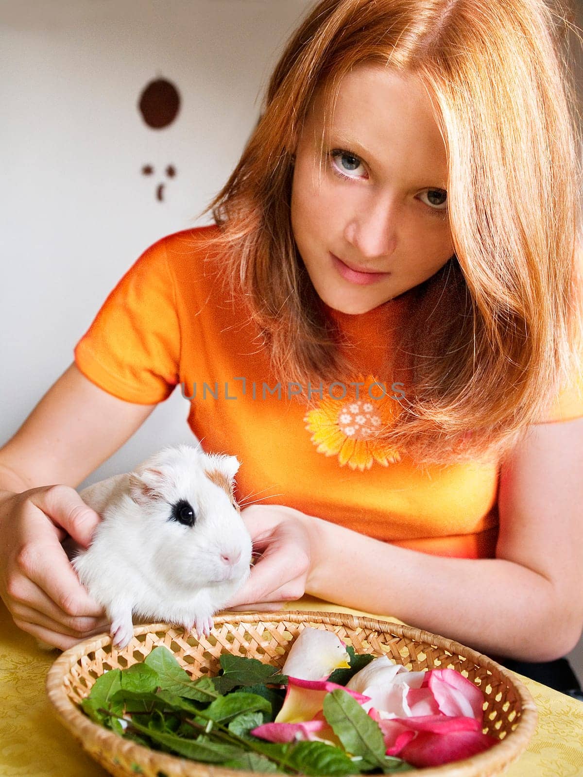 meal time