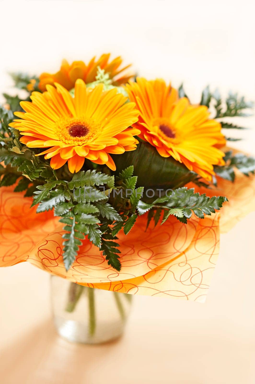 Orange Gerbera I.