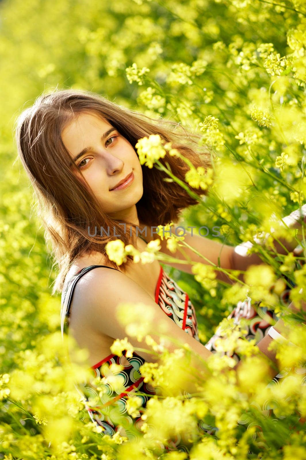 Dreamy Romantic II.