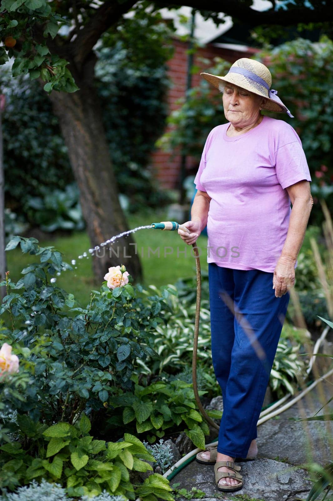 Watering the garden