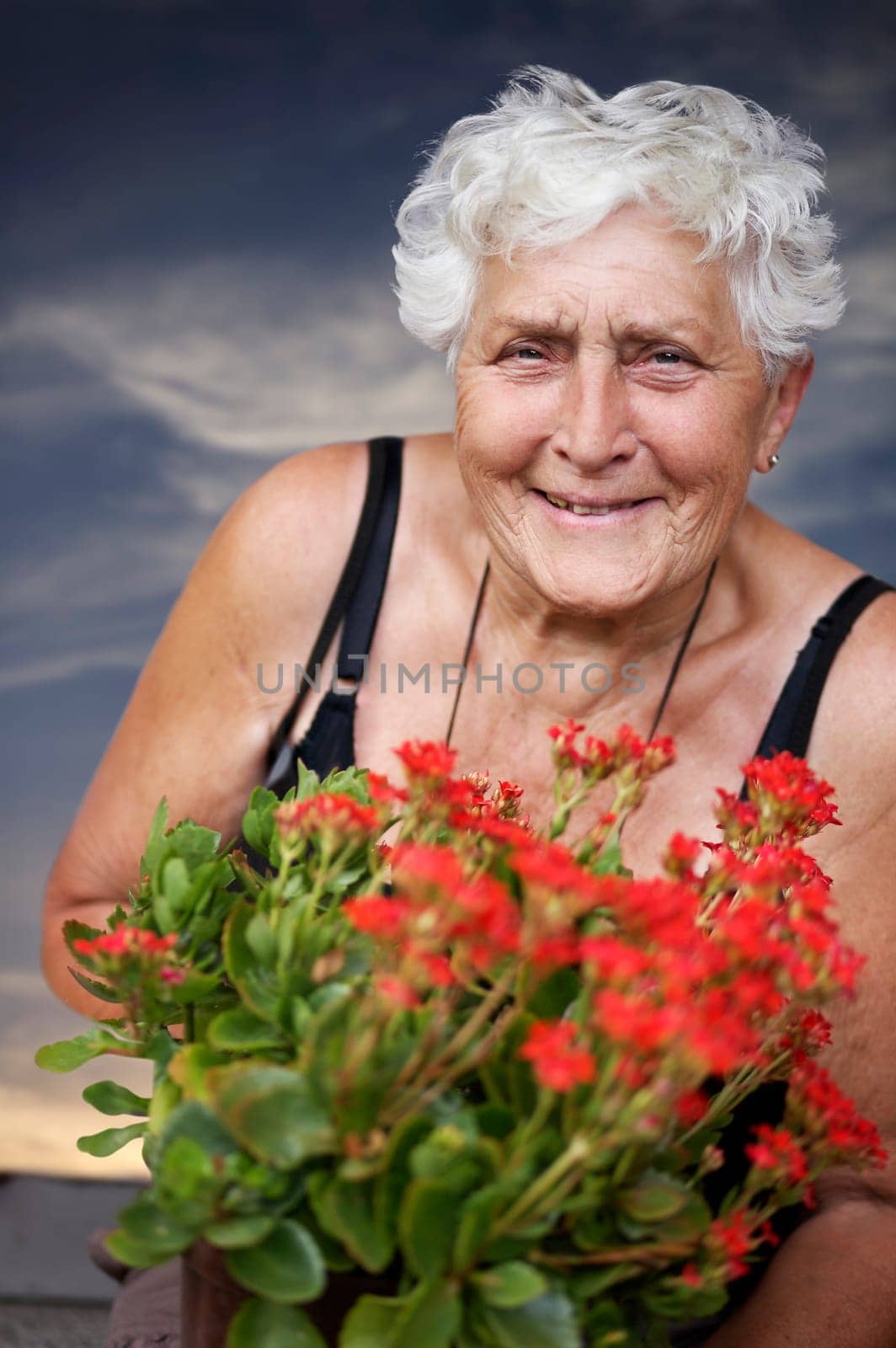 The Gardener