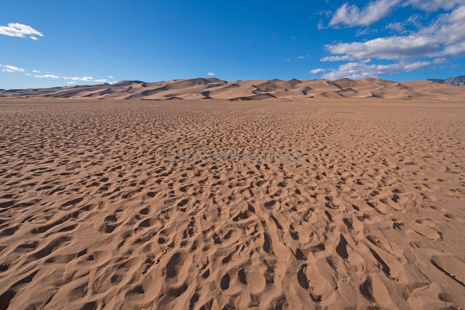 Pockmarked Sand With Fall Leaves at the Great Sand Dunes National Park in Colorado
