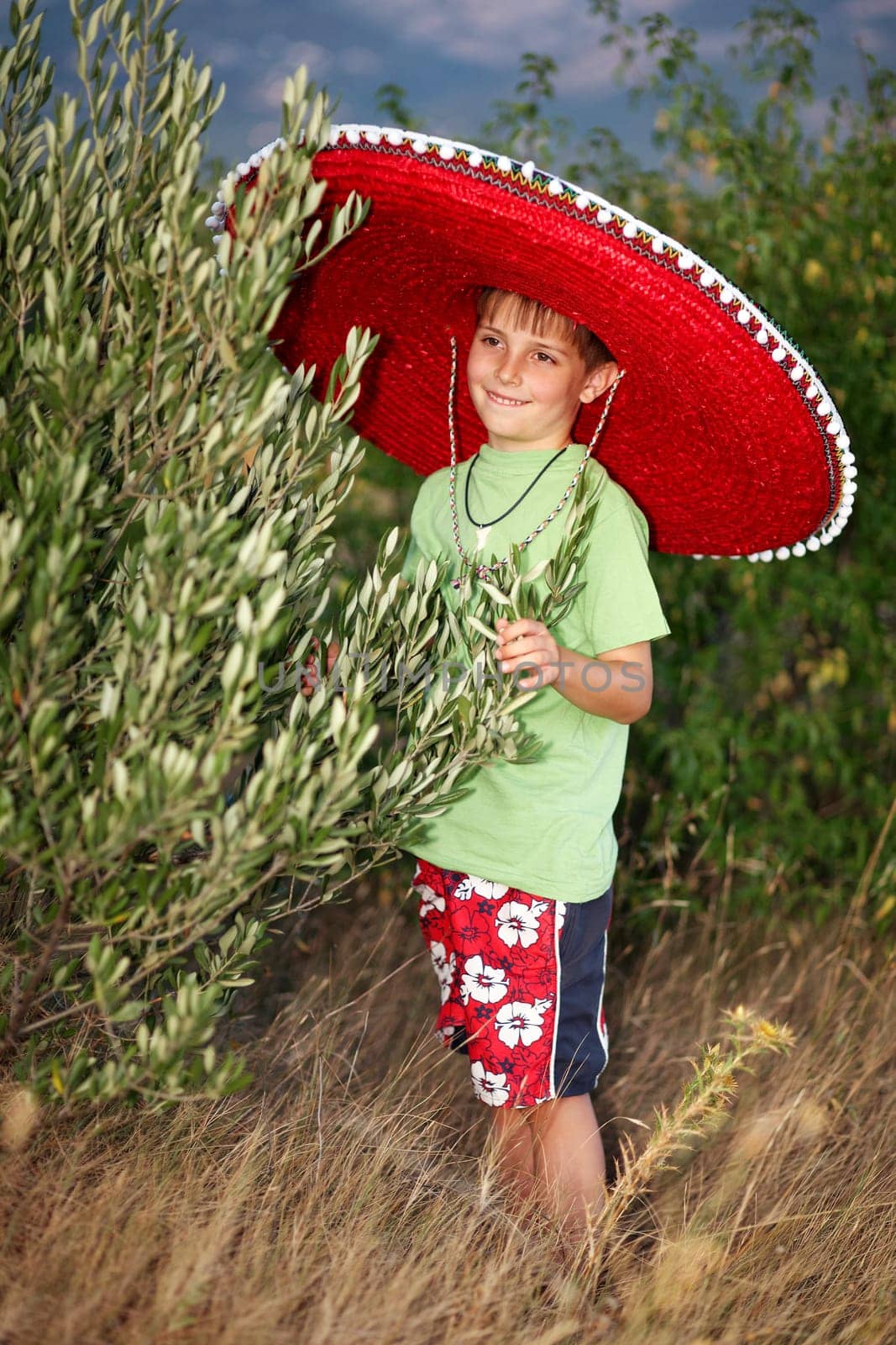 Little boy at the olive tree I.