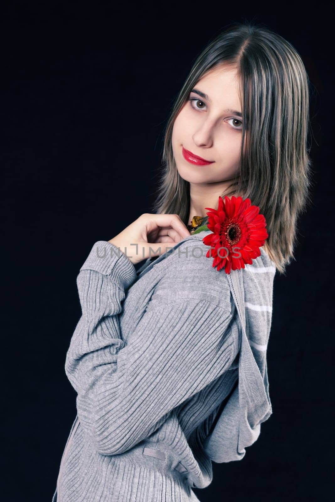 Romantic with Gerbera I.