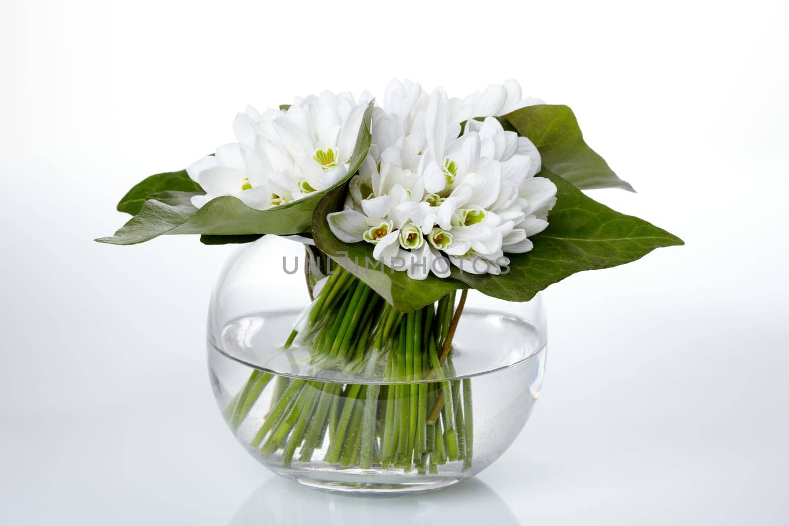 Snow Bells I.