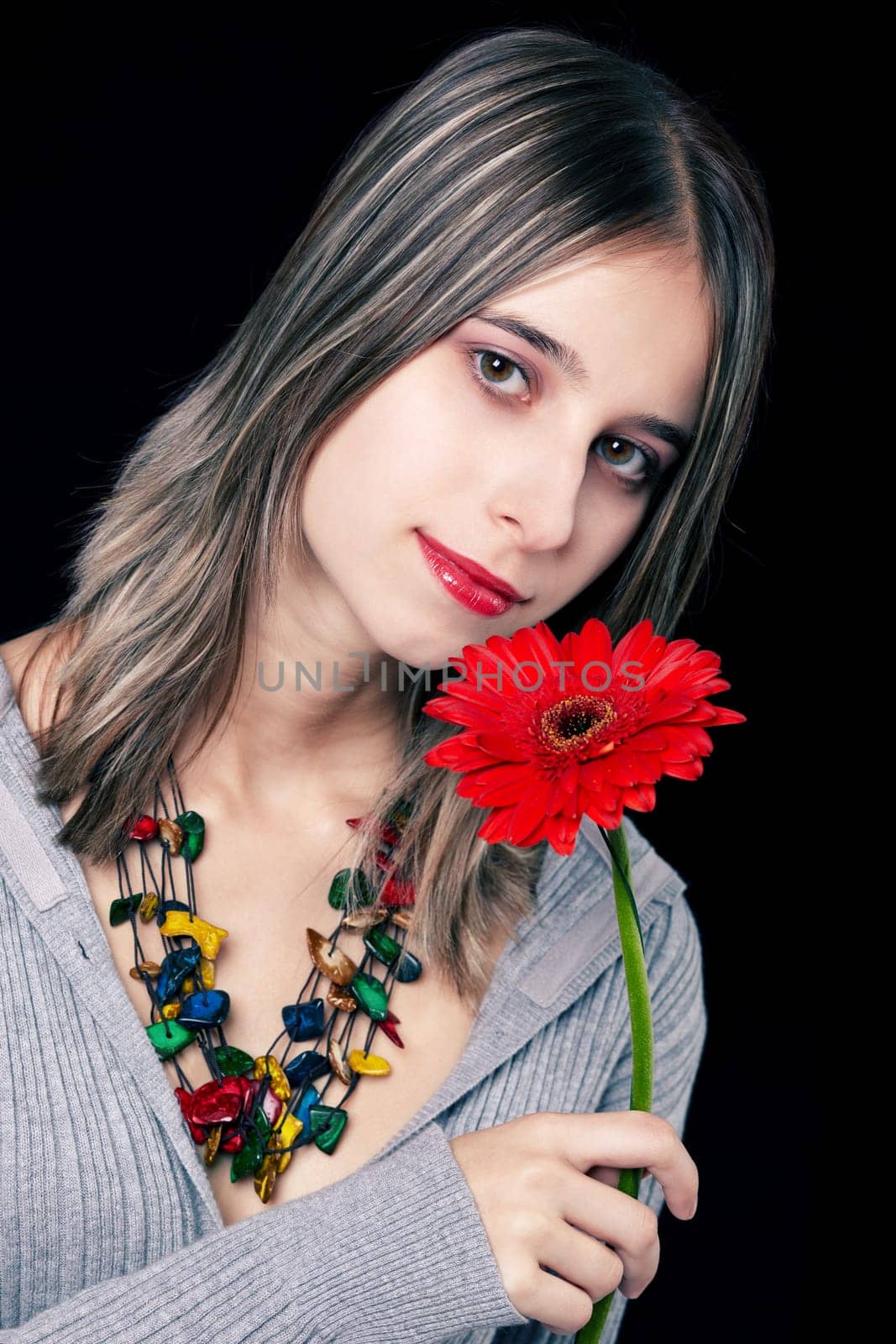 Romantic with Gerbera II.
