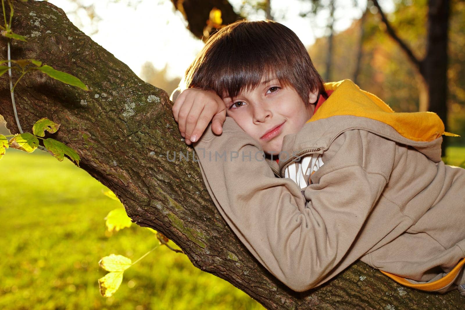 Boy on the branch