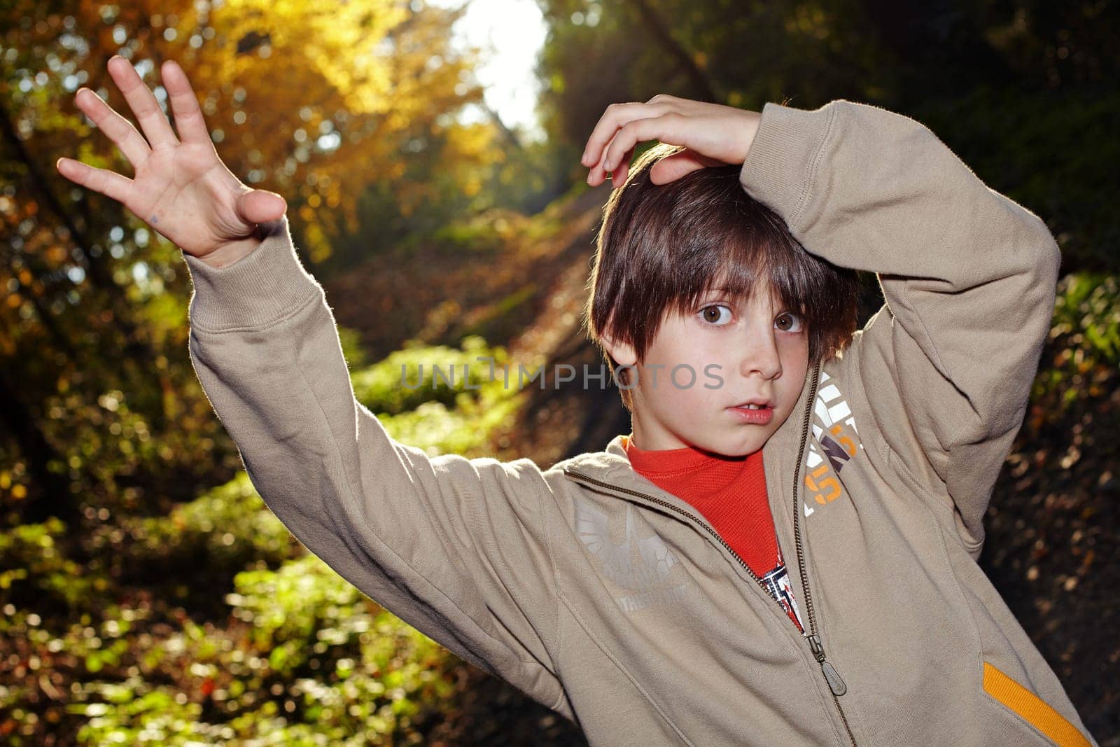 Boy in the autumnal forest I.