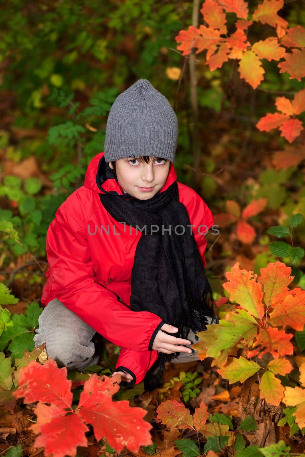 Little boy in autumn forest I