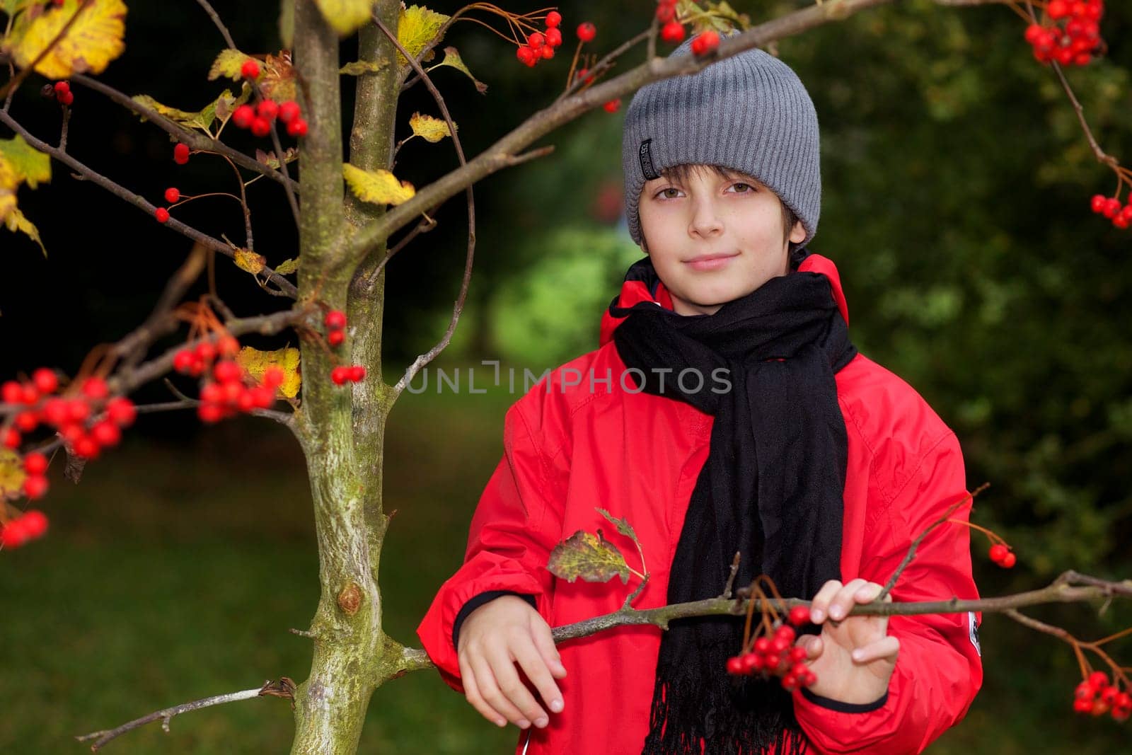 Little boy in autumn forest II