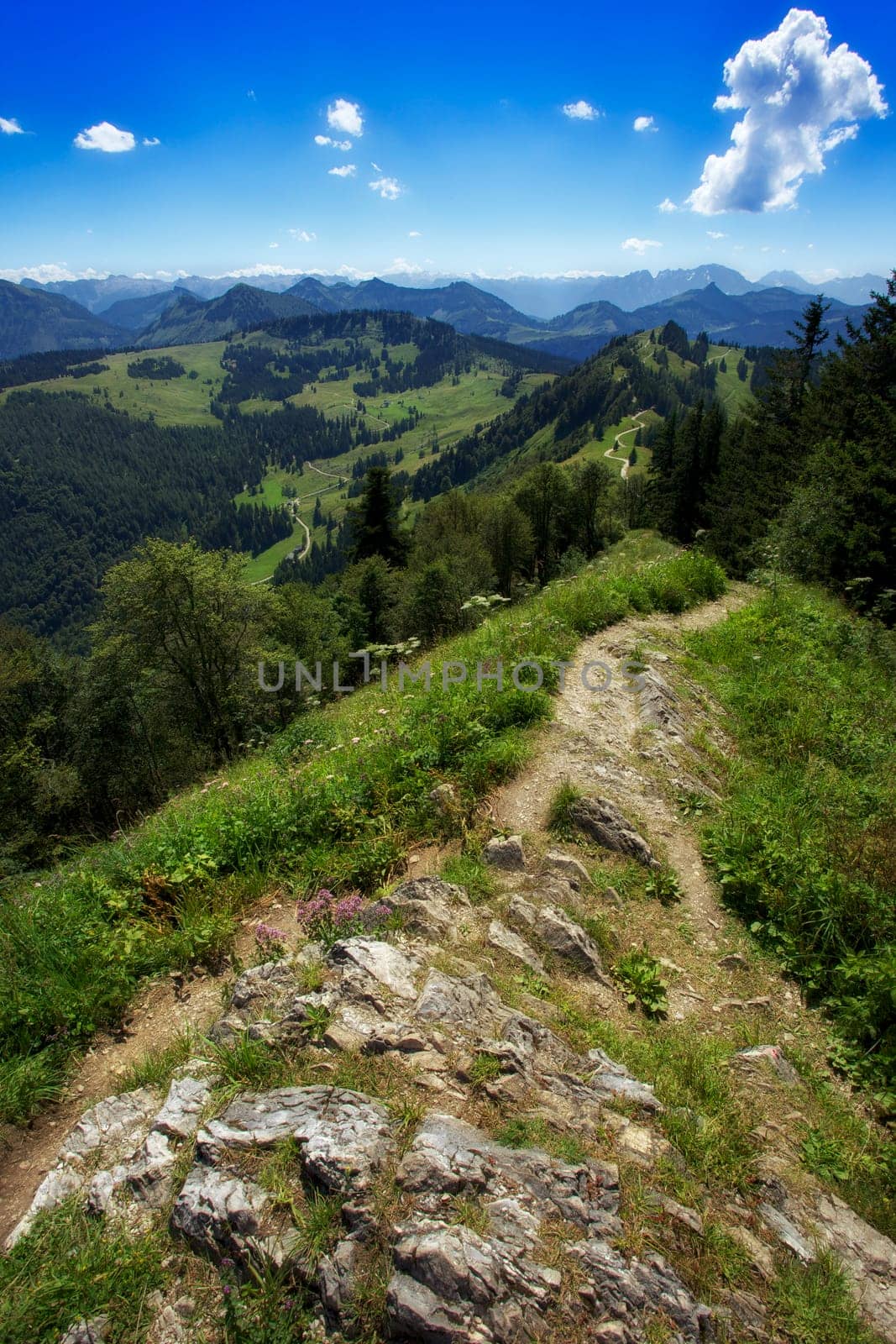 View from Zwölferhorn