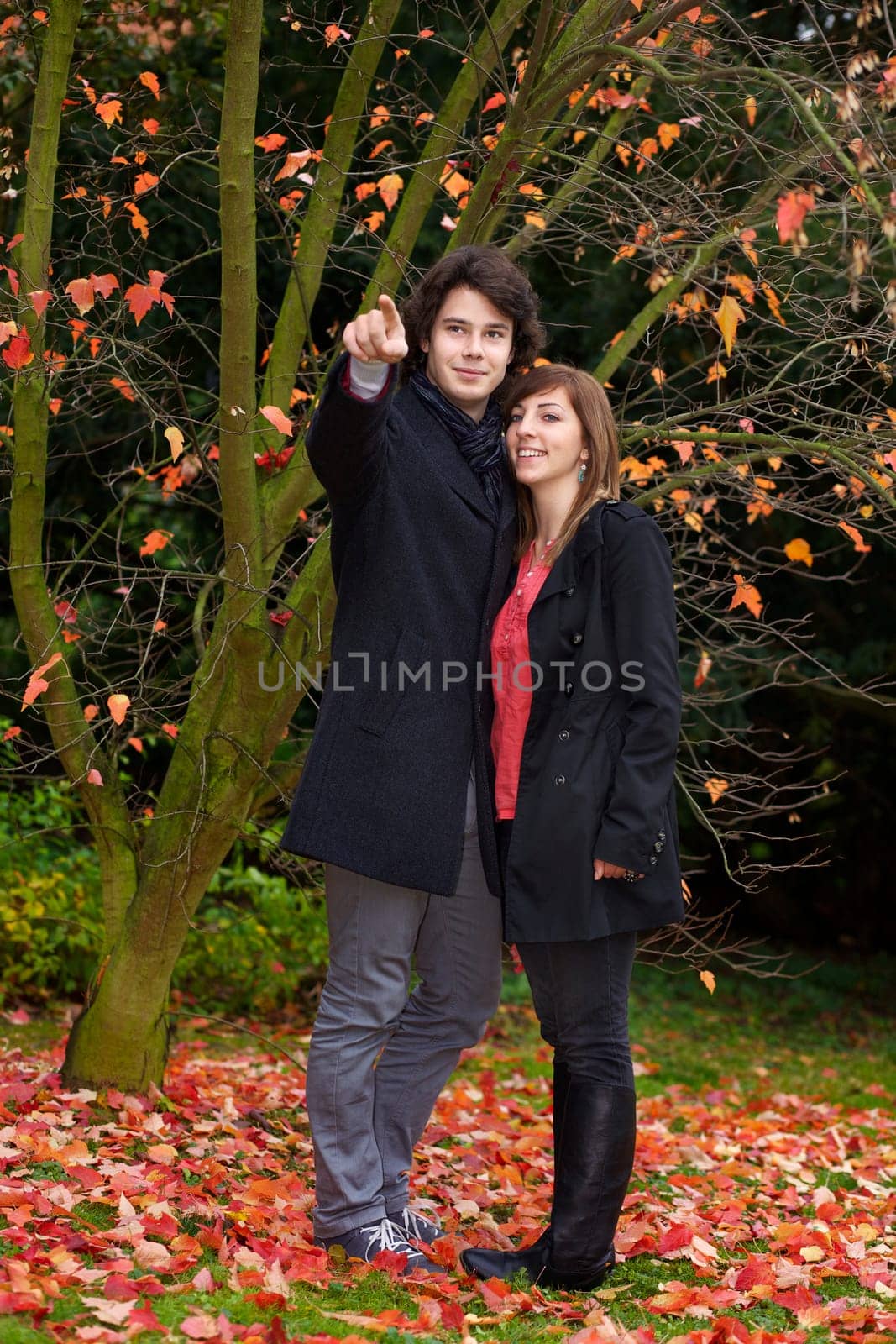 Young couple in a park