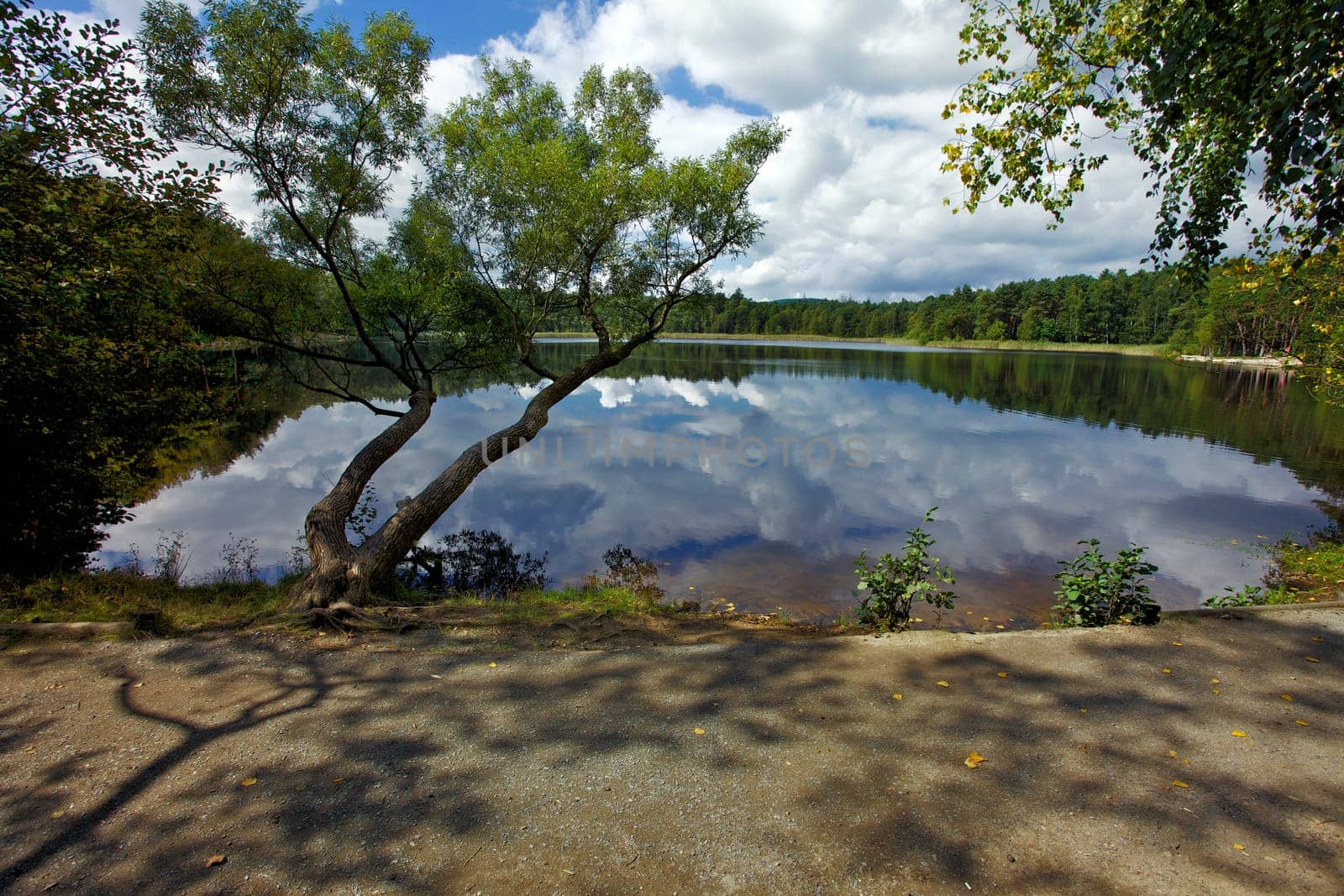 Pond Kamenny