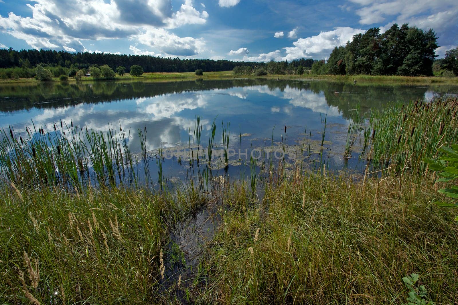 Pond Kosinar