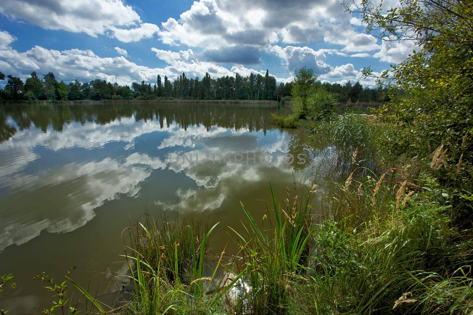 Pond Senecky