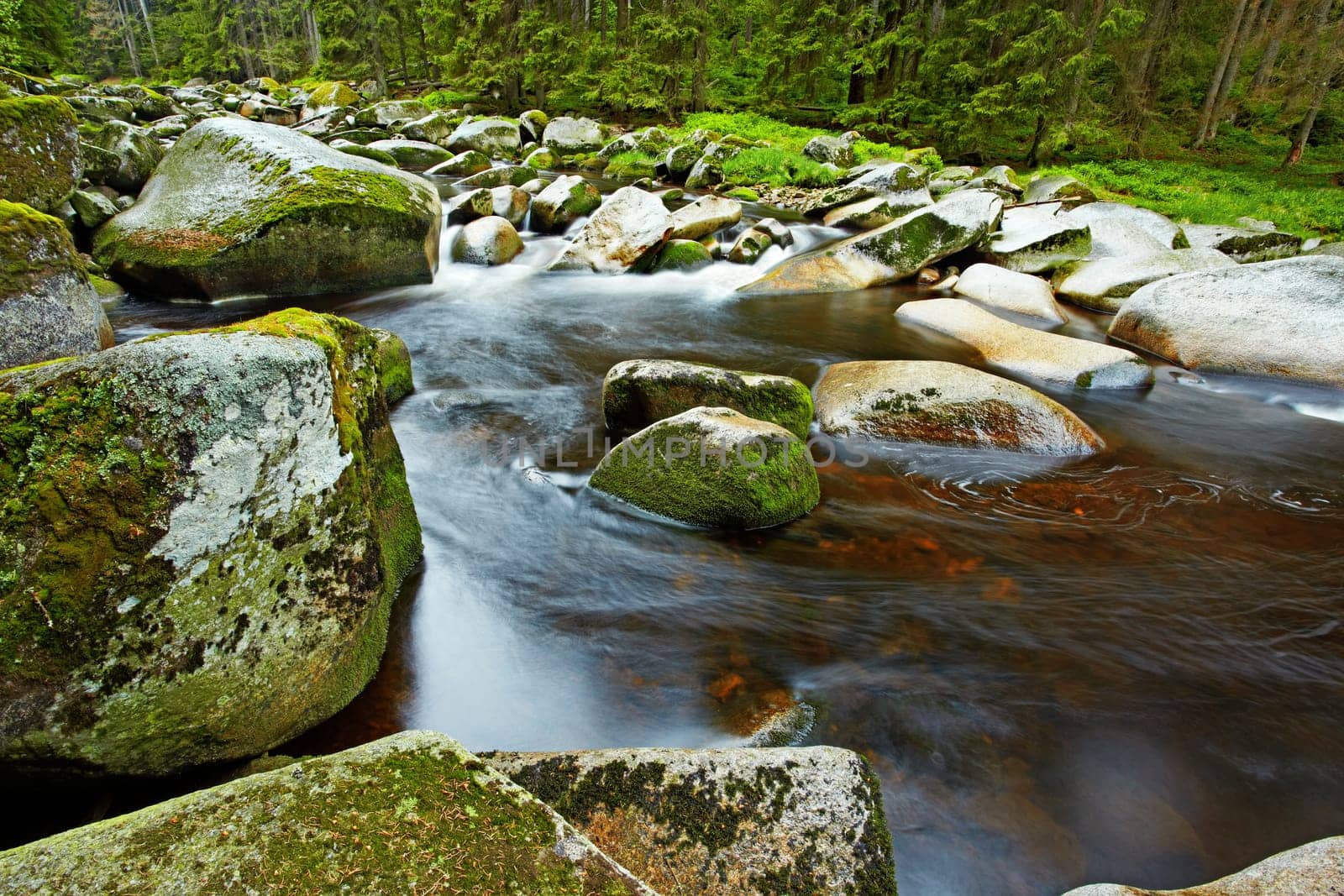 River Vydra