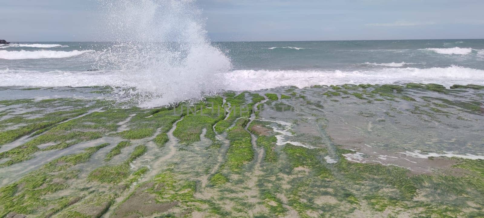The Laomei Green Stone Trough is located in Shimen District on the North Coast, Every April and May, because the northeast monsoon slowly weakens, the local rock trough scientific name: tidal trench and sea erosion trench is covered with a large green seaweed