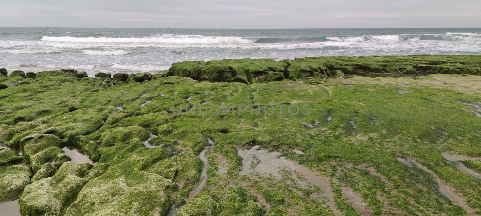 The Laomei Green Stone Trough is located in Shimen District on the North Coast, Every April and May, because the northeast monsoon slowly weakens, the local rock trough scientific name: tidal trench and sea erosion trench is covered with a large green seaweed