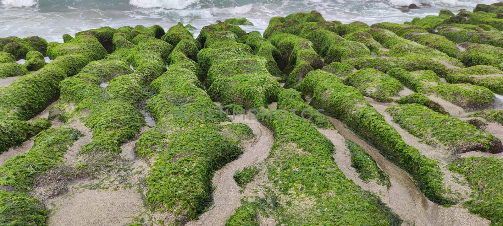The Laomei Green Stone Trough is located in Shimen District on the North Coast, Every April and May, because the northeast monsoon slowly weakens, the local rock trough scientific name: tidal trench and sea erosion trench is covered with a large green seaweed