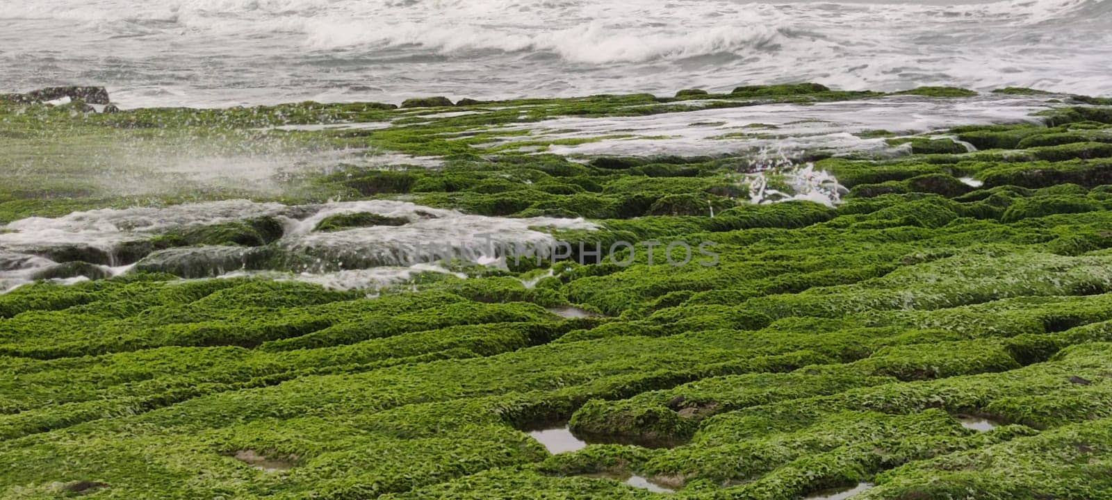 The Laomei Green Stone Trough is located in Shimen District on the North Coast, Every April and May, because the northeast monsoon slowly weakens, the local rock trough scientific name: tidal trench and sea erosion trench is covered with a large green seaweed